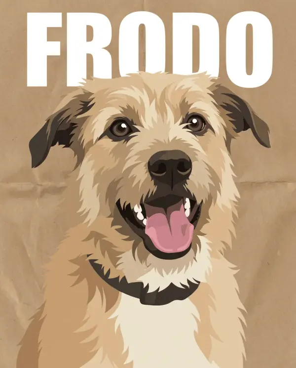 Modern Pet Portrait preview