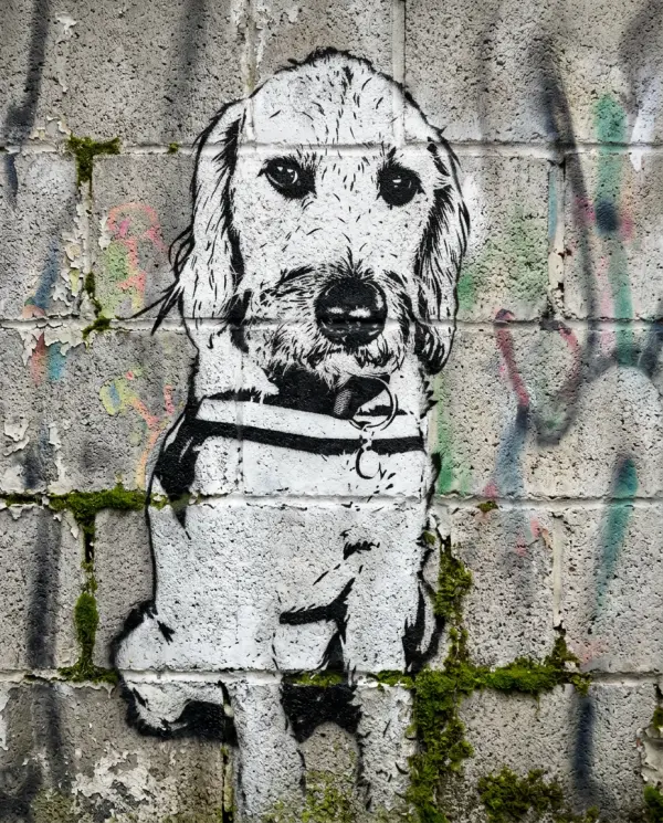 Street Art Portrait pet portrait style