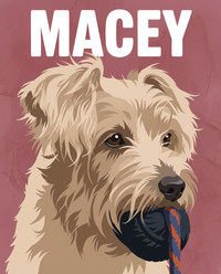 modern pet portrait
