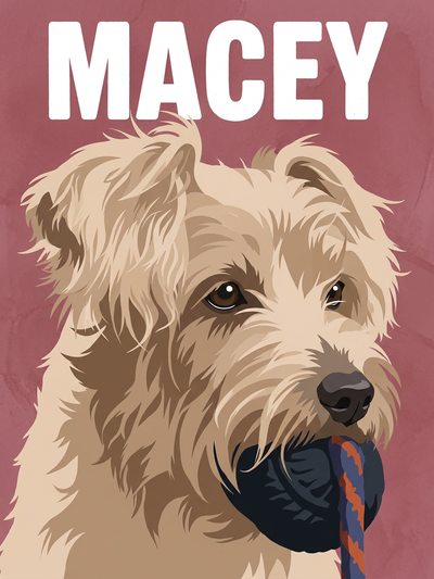 modern-pet-portrait pet portrait