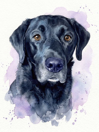 watercolor pet portrait