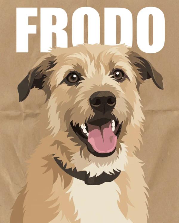Modern Pet Portrait pet portrait style