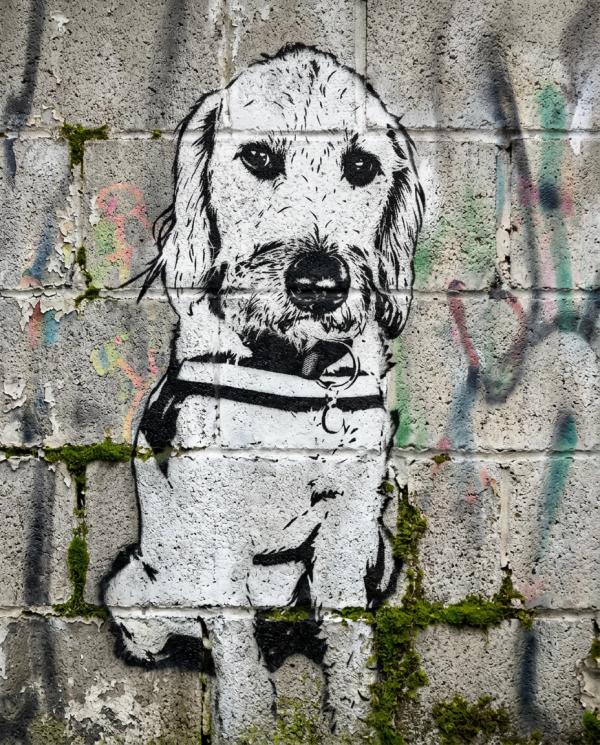 Street Art Portrait pet portrait style