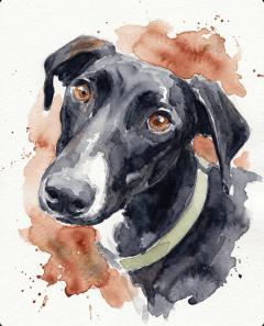 Watercolour Portrait pet portrait style